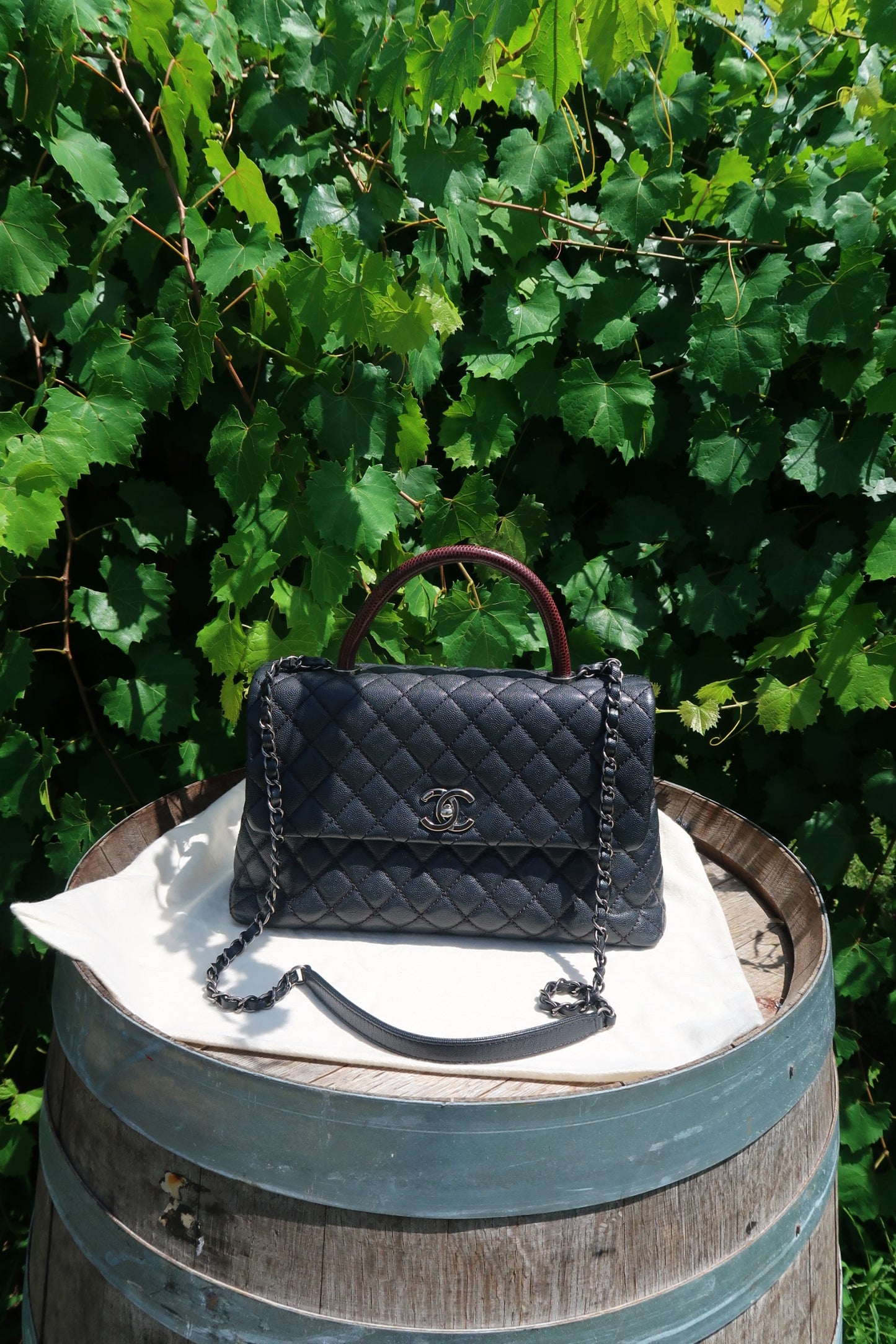 Chanel Caviar Lizard-Trimmed Coco Handle Bag