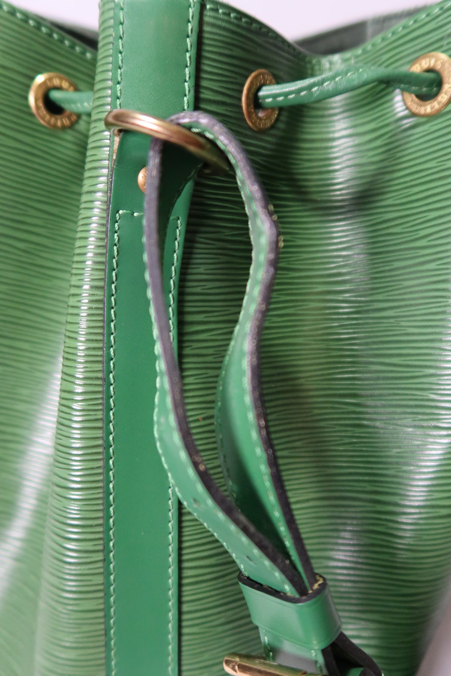 Louis Vuitton Epi Noe Borneo
