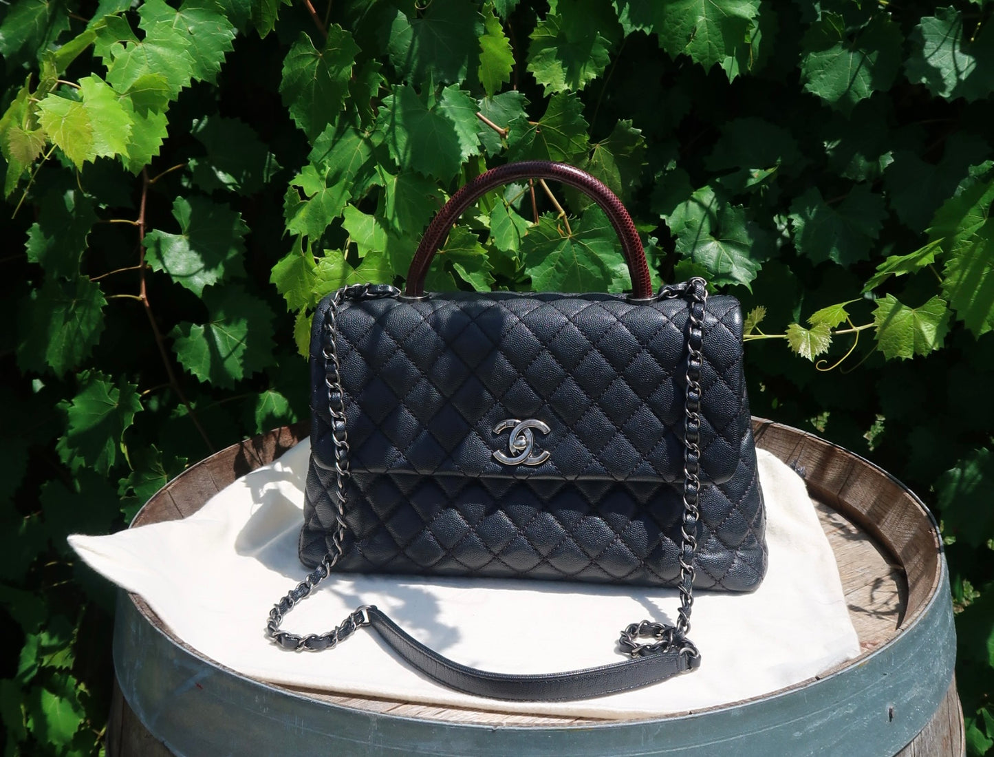 Chanel Caviar Lizard-Trimmed Coco Handle Bag