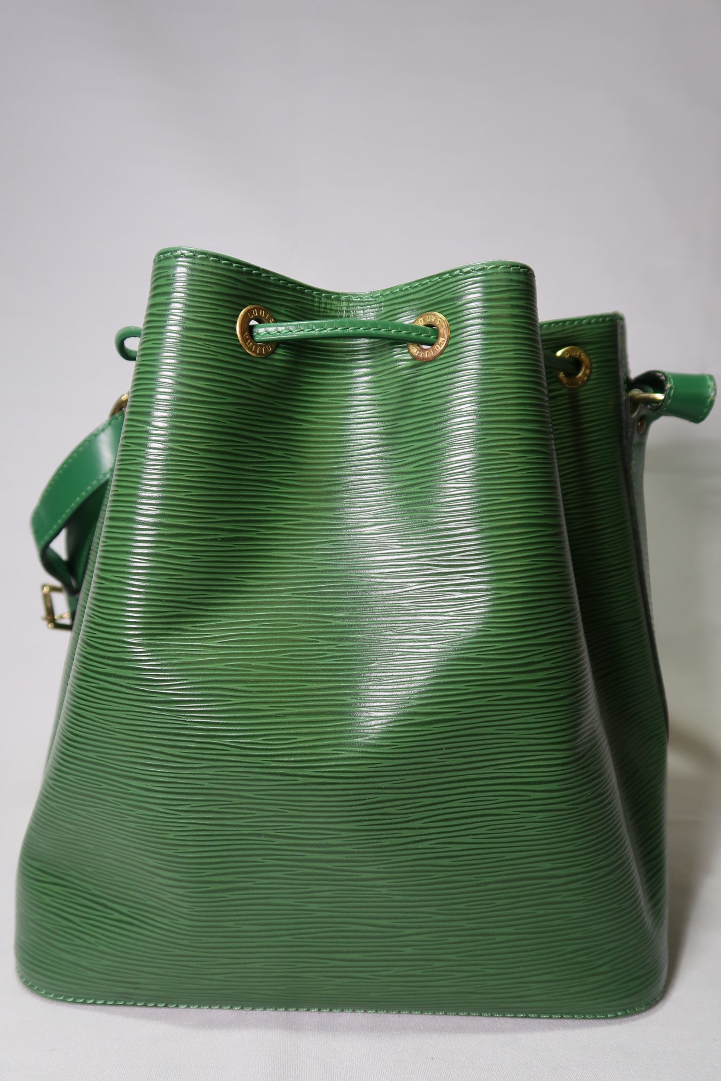 Louis Vuitton Epi Noe Borneo